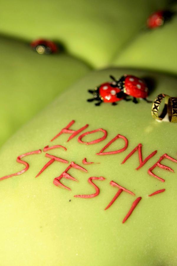 Hotel Ludmila Mělník Eksteriør billede